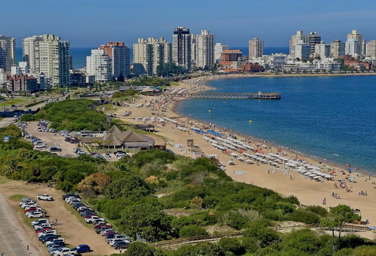 Mili Perez Bienes Raices